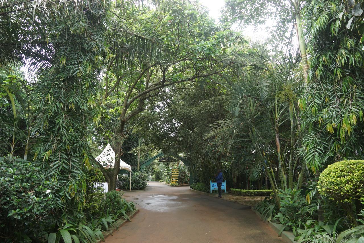Country Lake Resort Garuga عنتيبي المظهر الخارجي الصورة